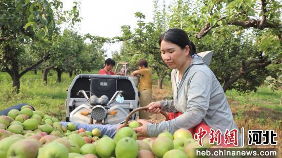 赵县秀才营最新爆料,最新爆料揭示不为人知的背后故事 第3张 赵县秀才营最新爆料,最新爆料揭示不为人知的背后故事 第3张